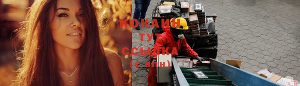 2c-b Алзамай