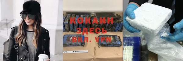 дживик Алексин