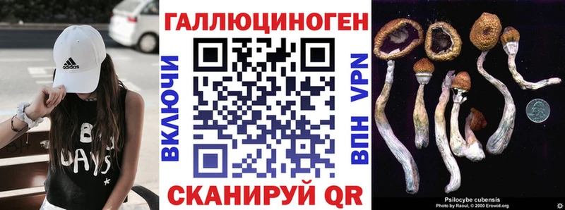 Псилоцибиновые грибы Cubensis  Октябрьский 